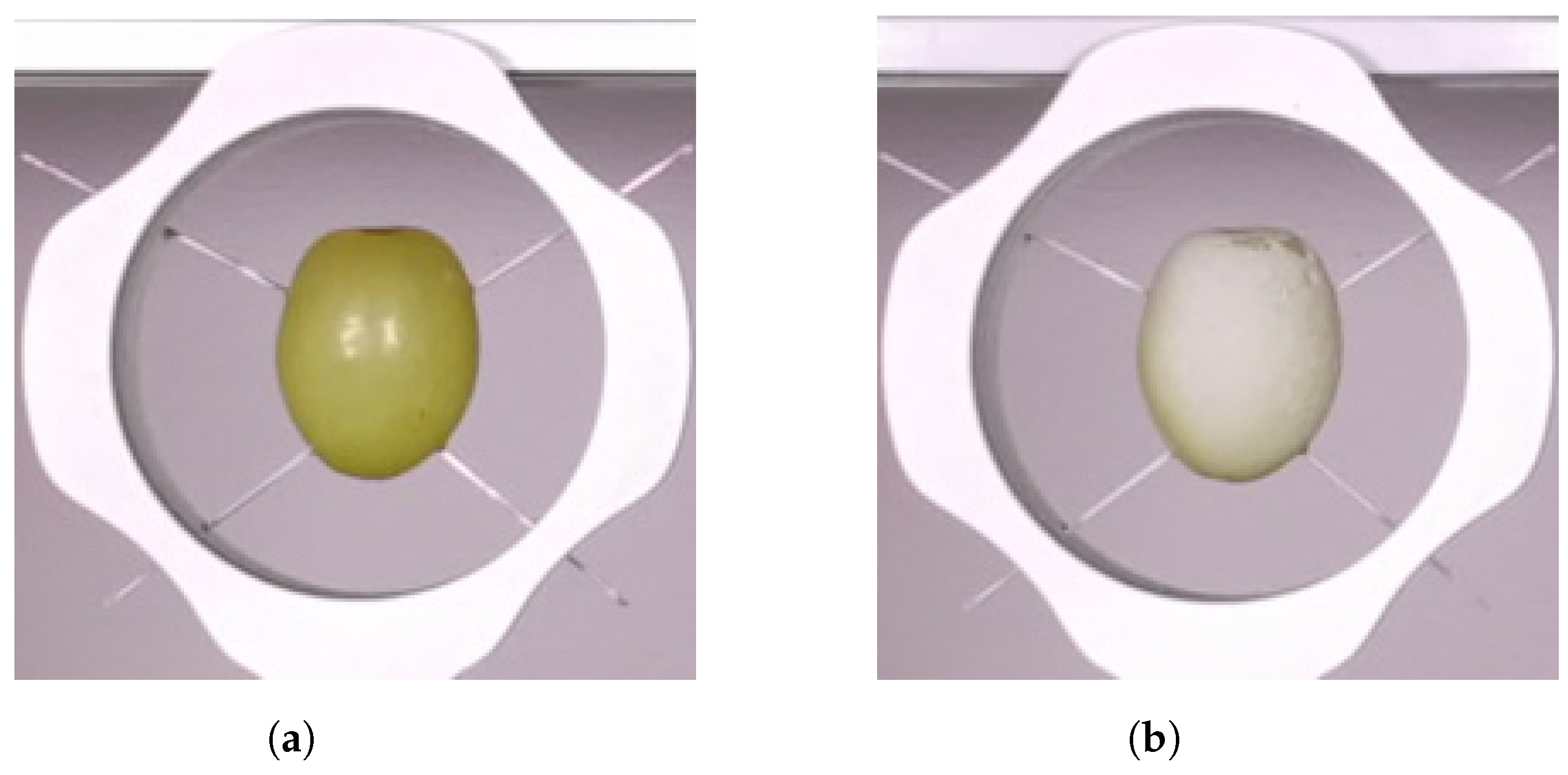 Sensors 24 05109 g002 Sensors 24 05109 g002