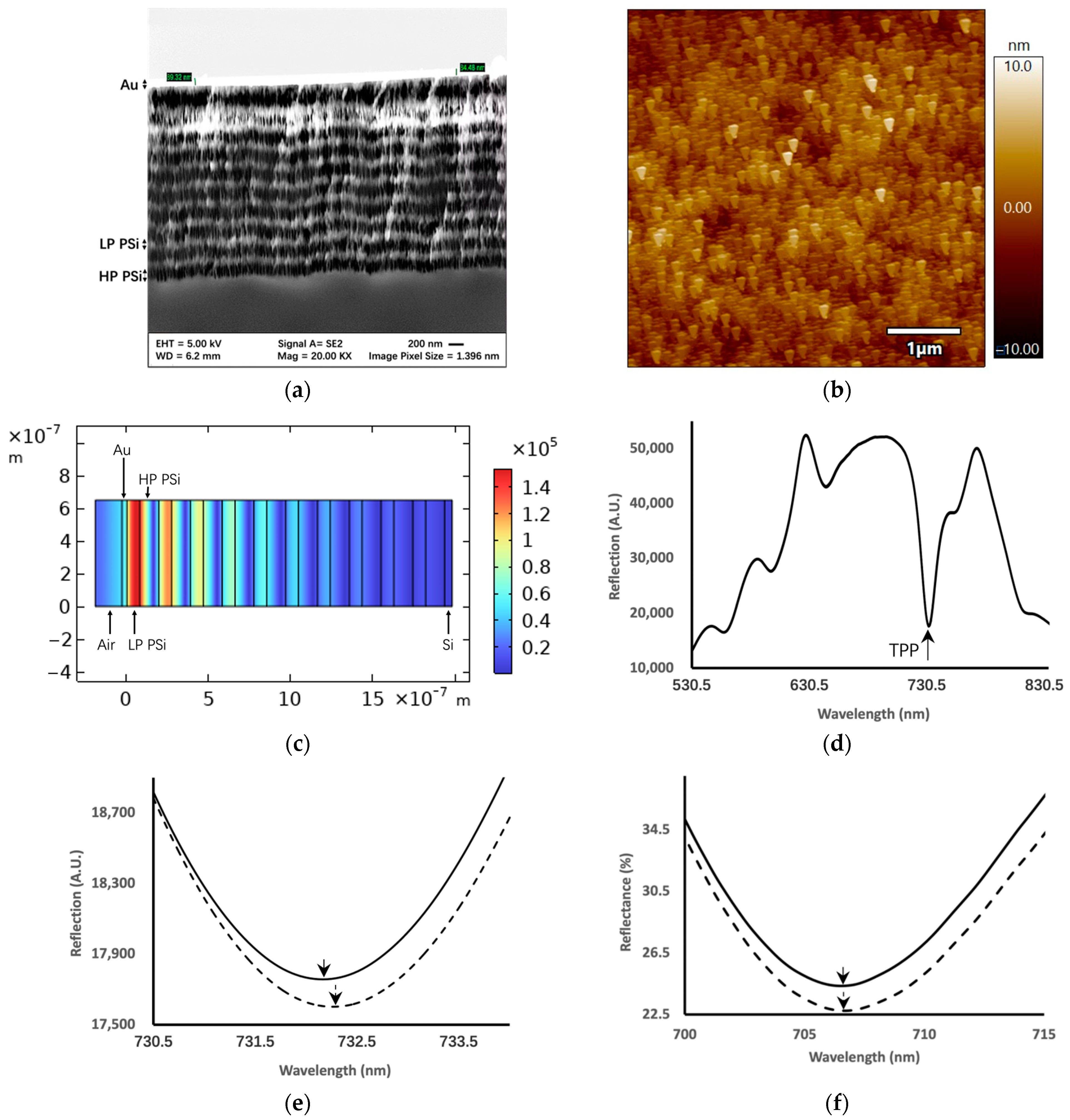 Sensors 24 05153 g002