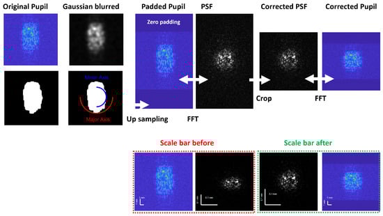 Sensors 24 05161 g0a3
