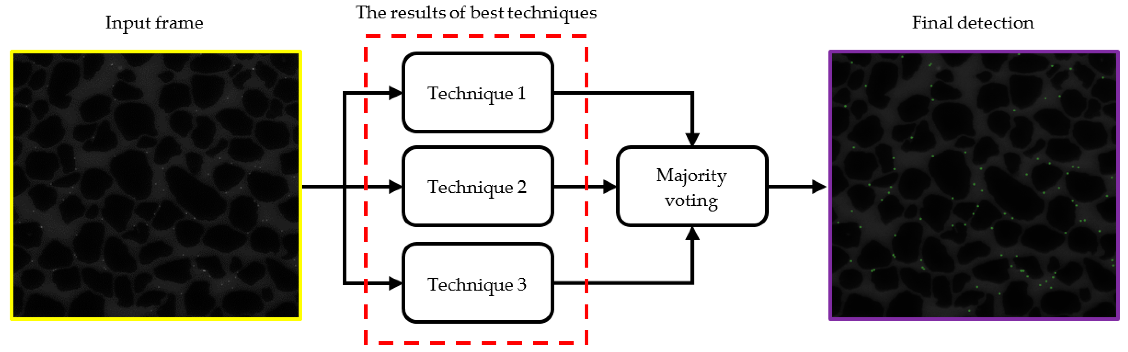 Sensors 24 05180 g005