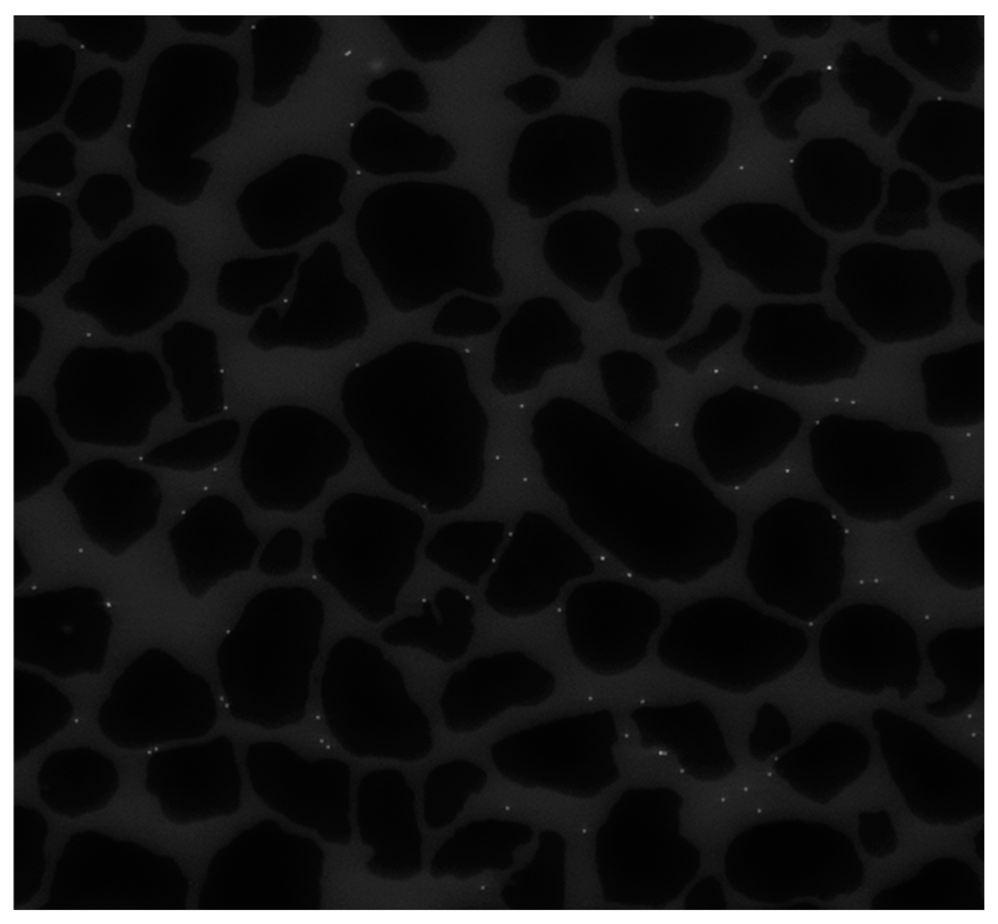 Sensors 24 05180 g006