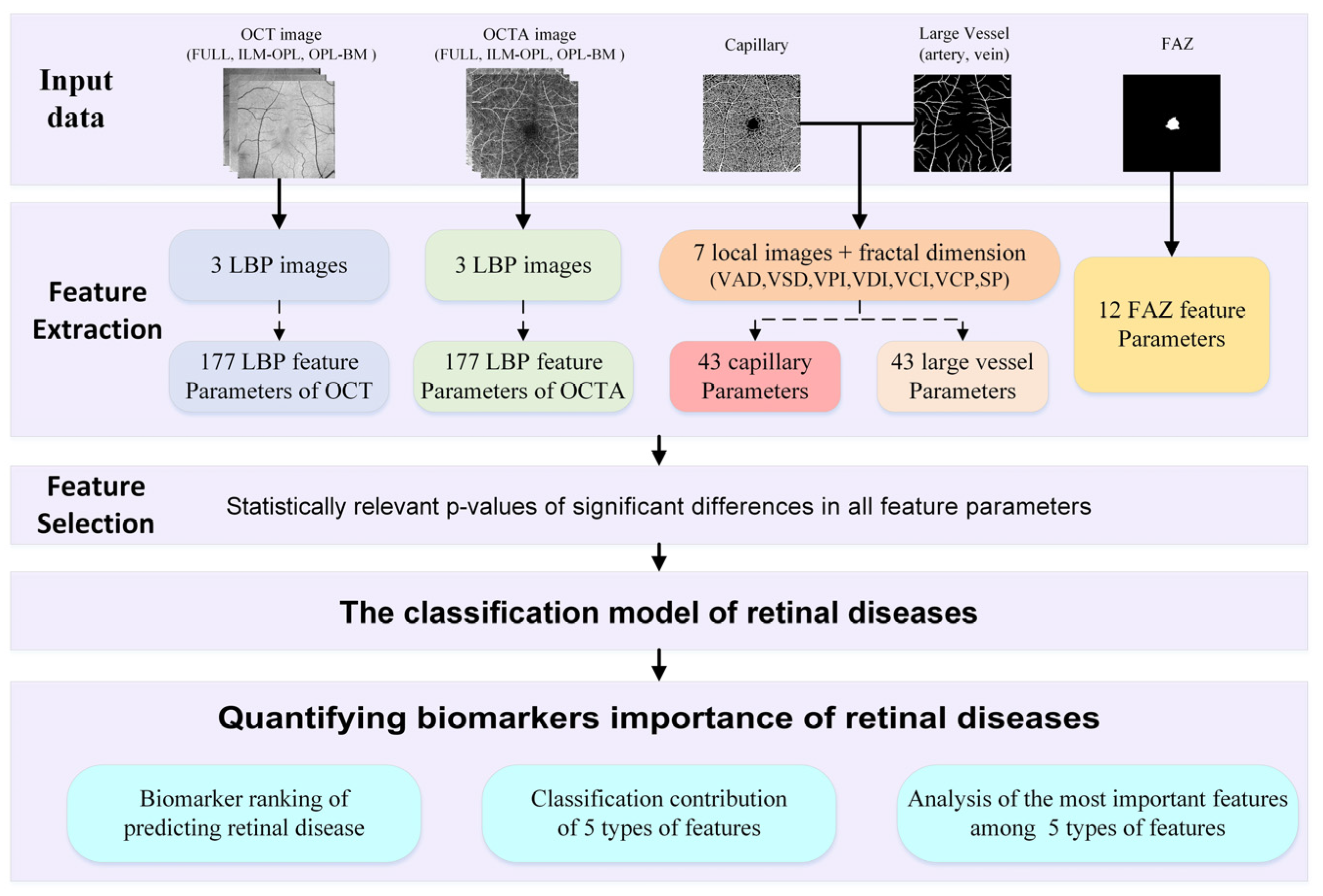 Sensors 24 05227 g001