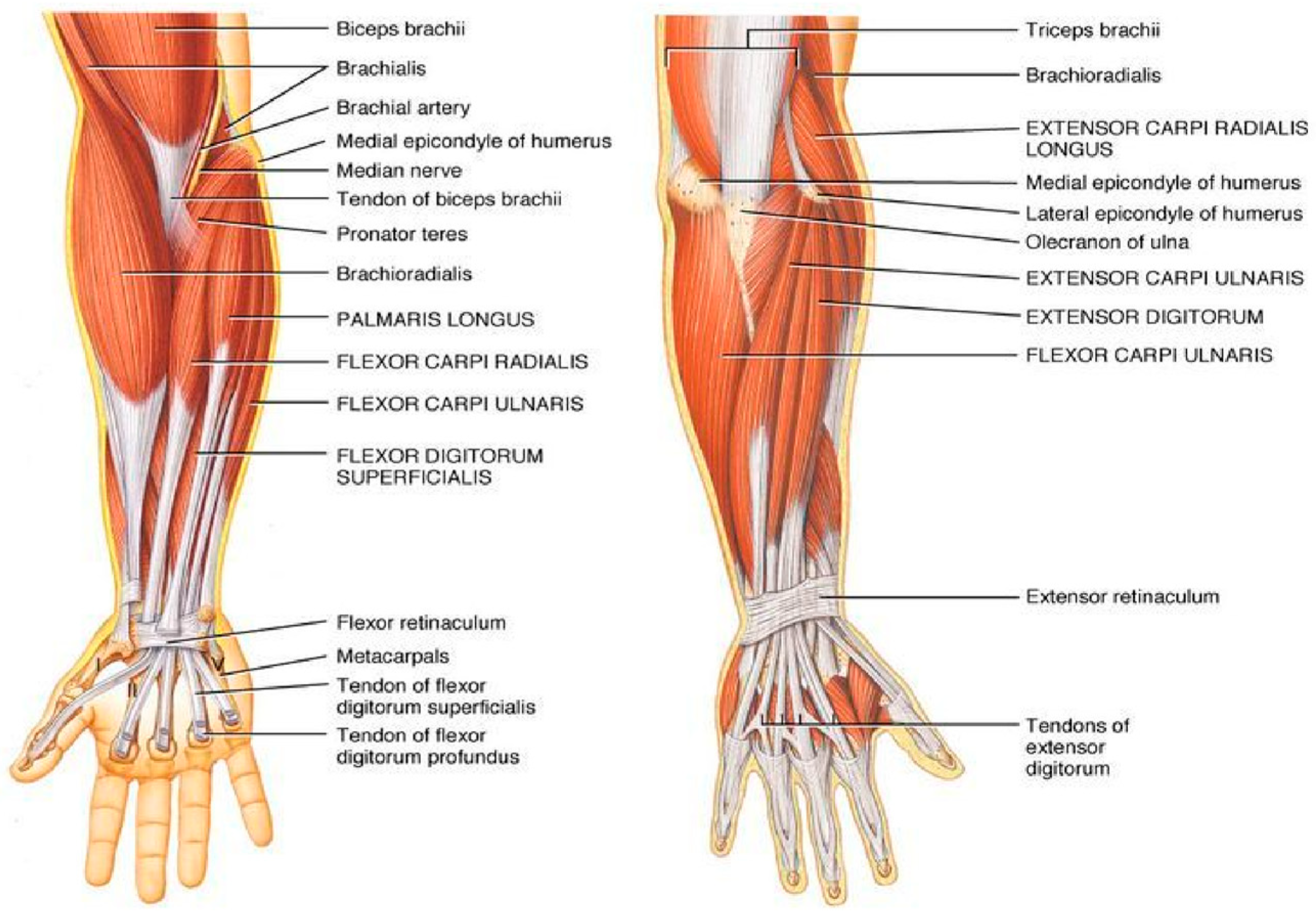 Sensors 24 05231 g003