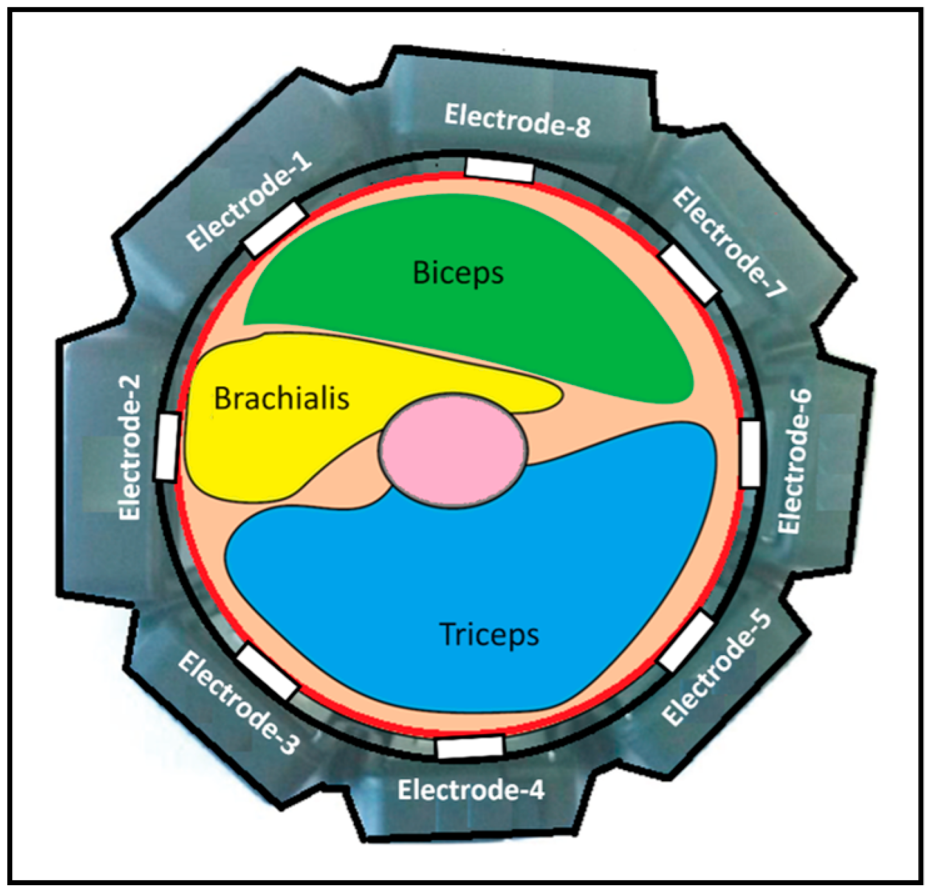 Sensors 24 05231 g004