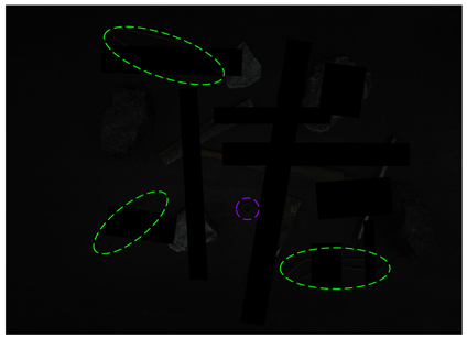 Sensors 24 05251 i006