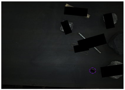 Sensors 24 05251 i008