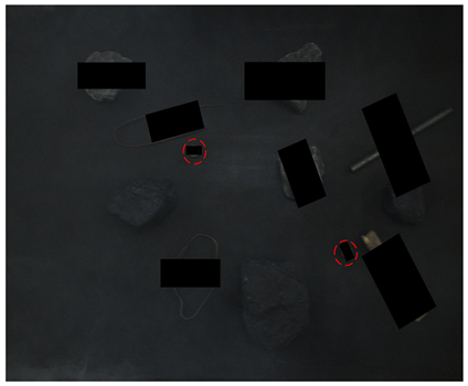 Sensors 24 05251 i012