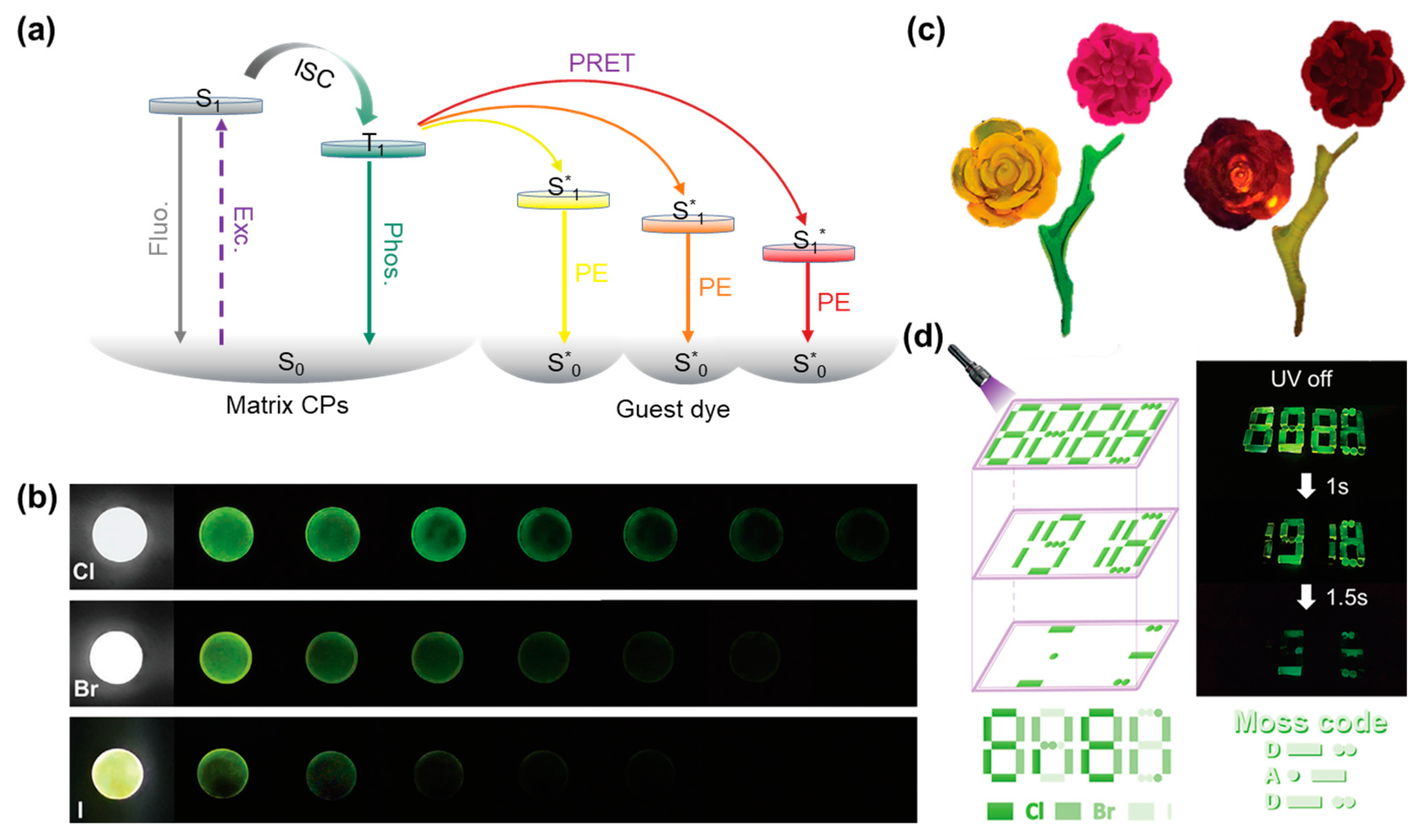 Sensors 24 05258 g013