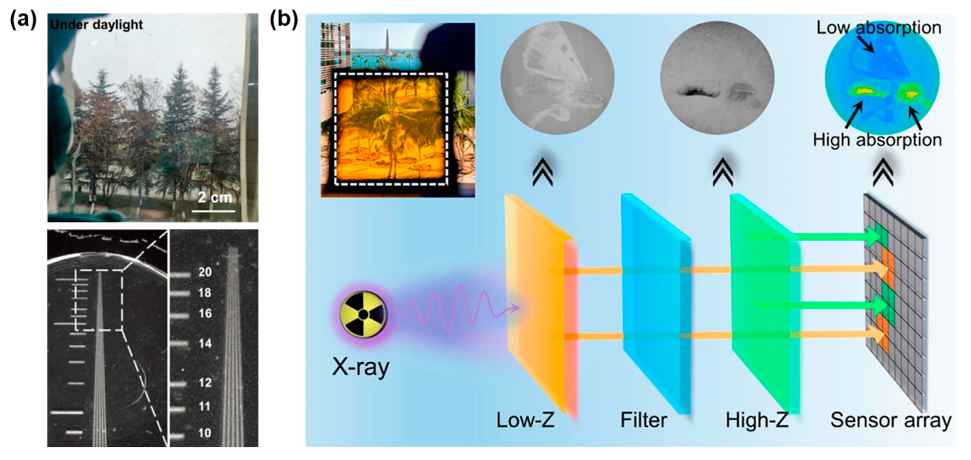 Sensors 24 05258 g015