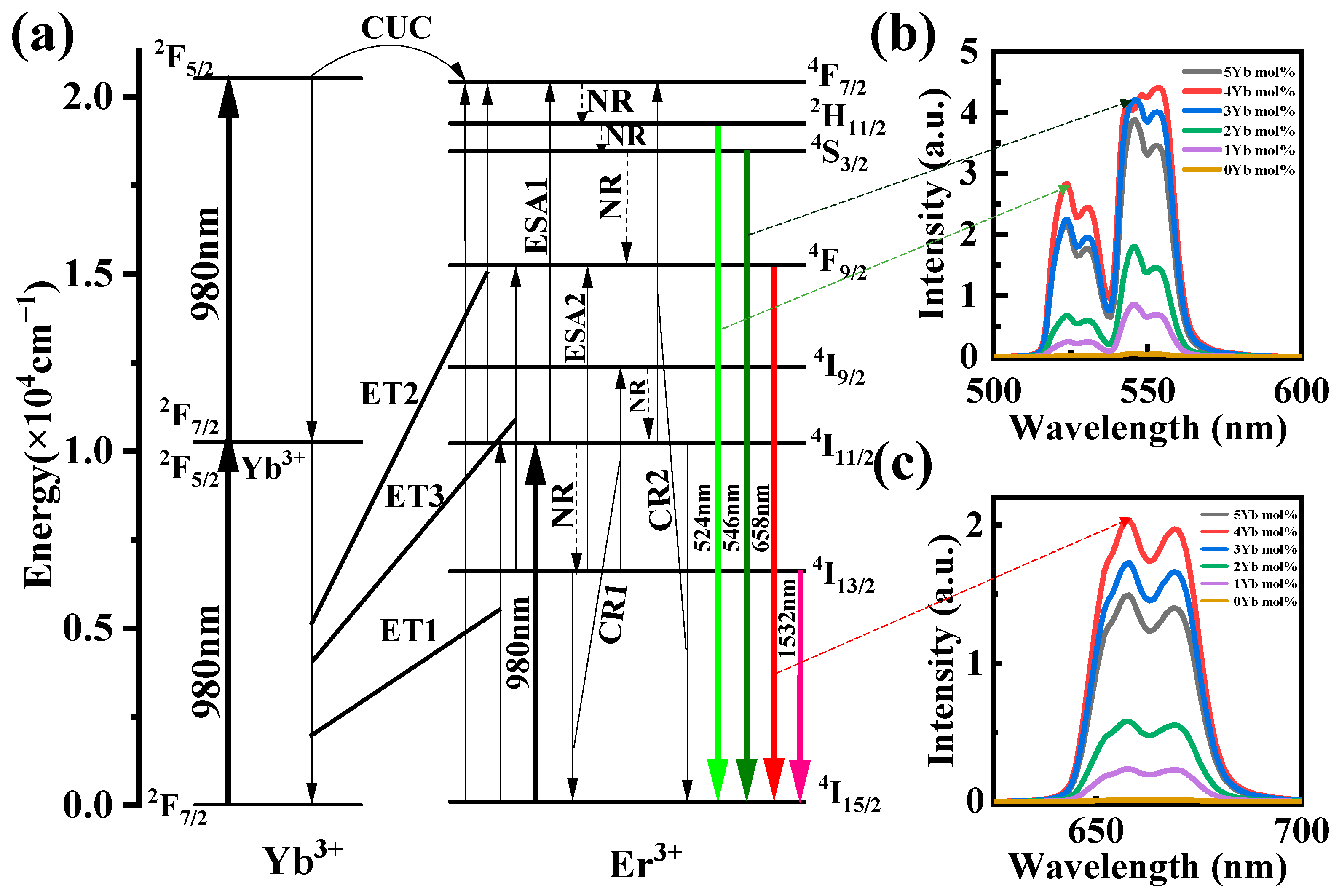 Sensors 24 05259 g005