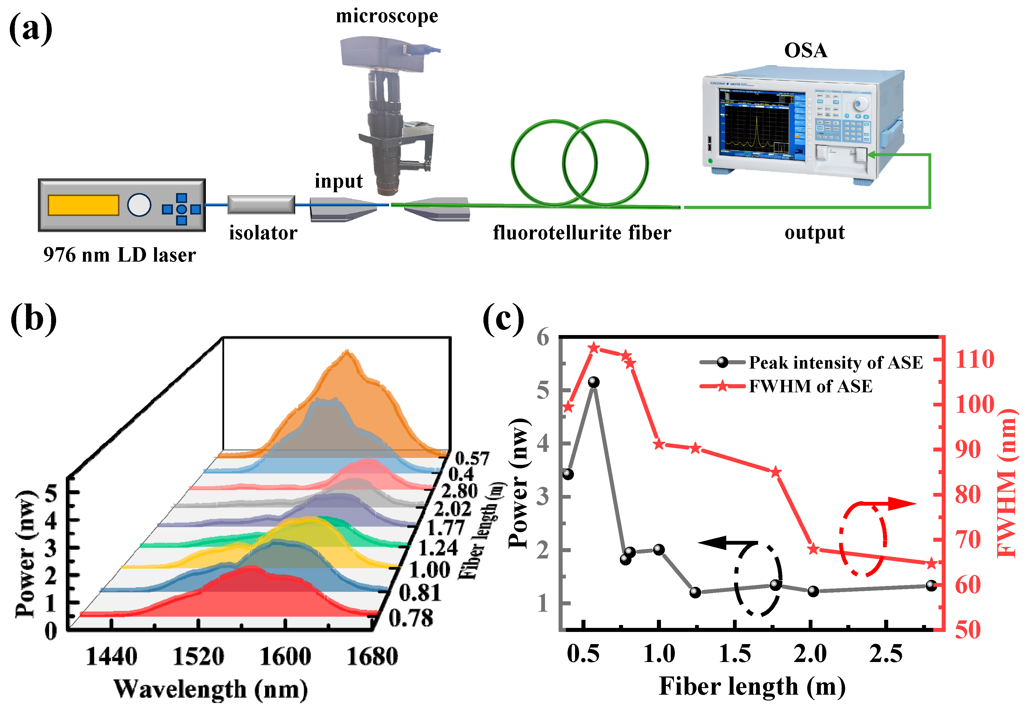 Sensors 24 05259 g007