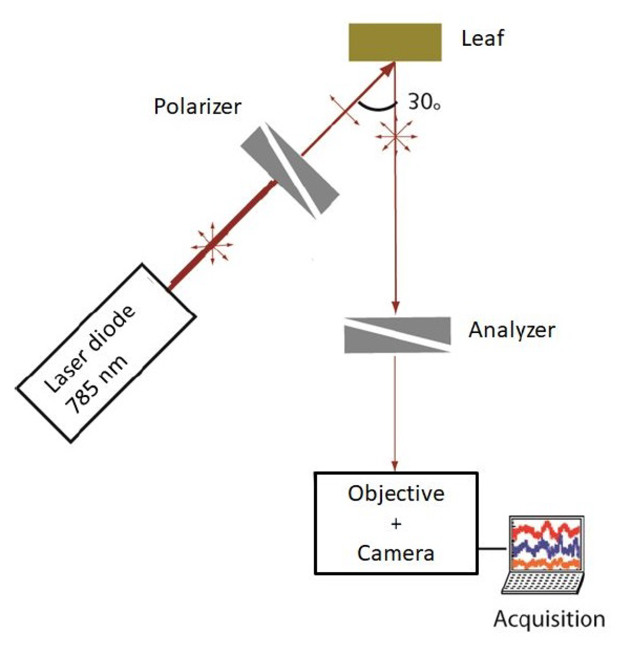 Sensors 24 05260 g002