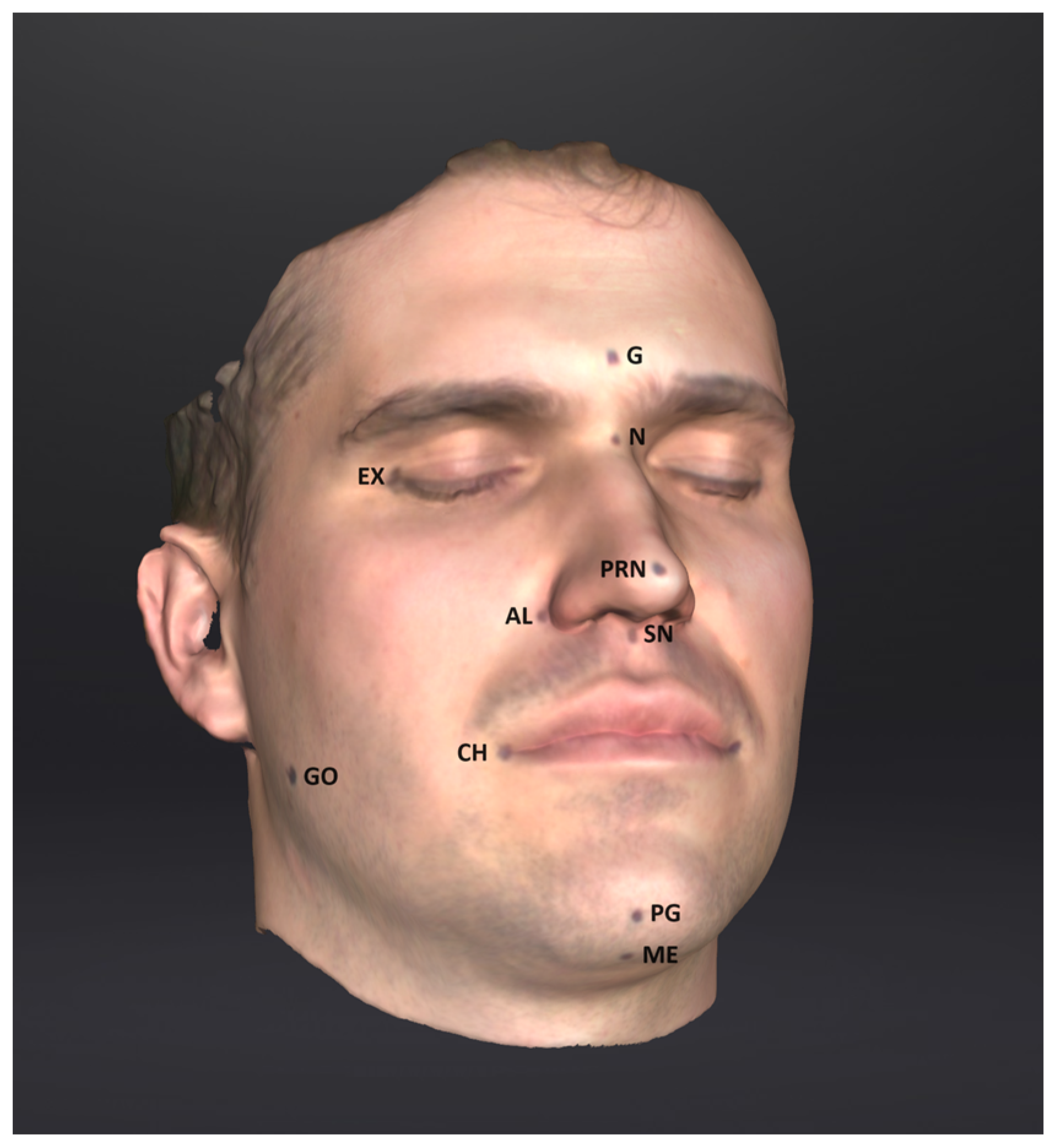 Sensors 24 05286 g001