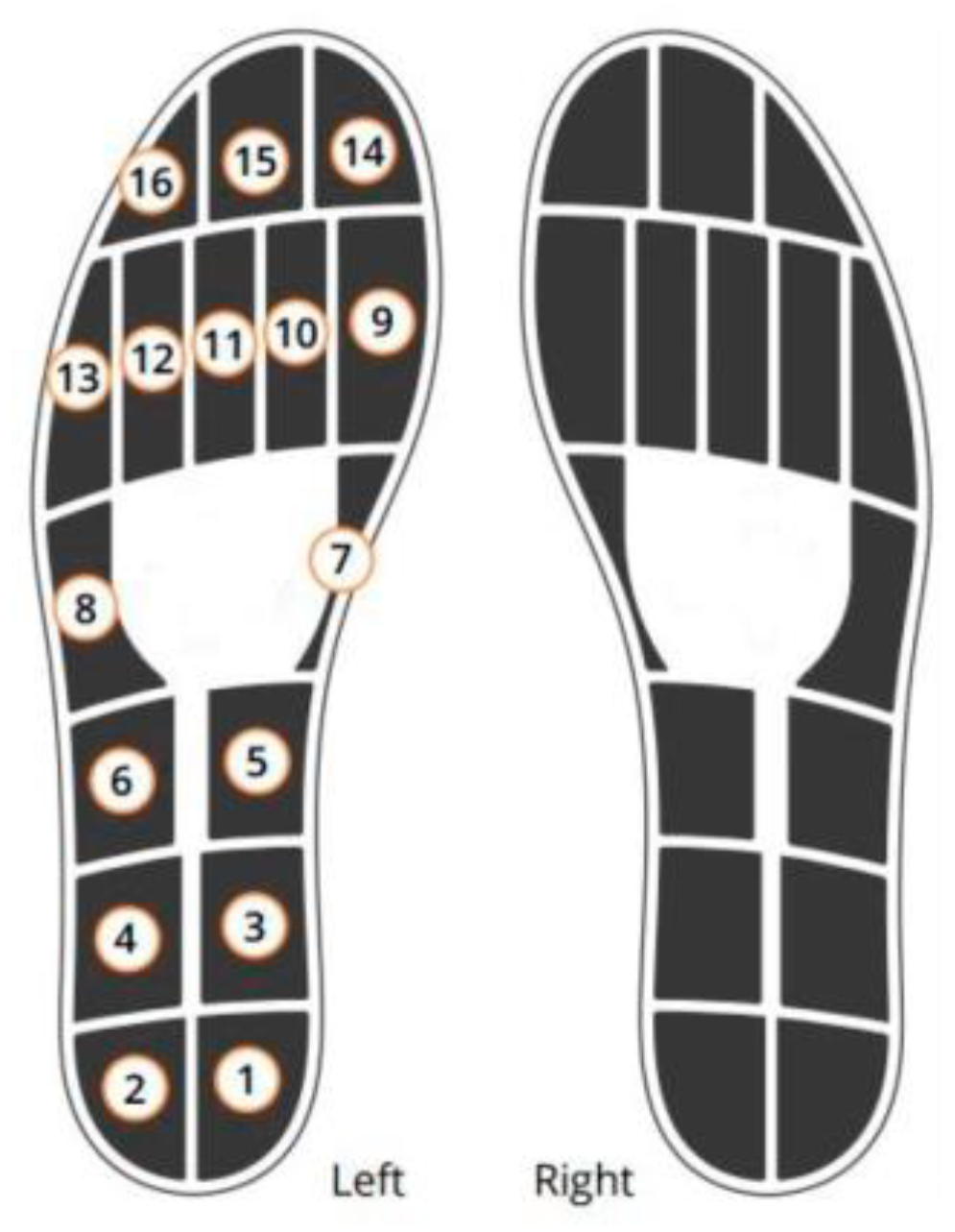 Sensors 24 05318 g002