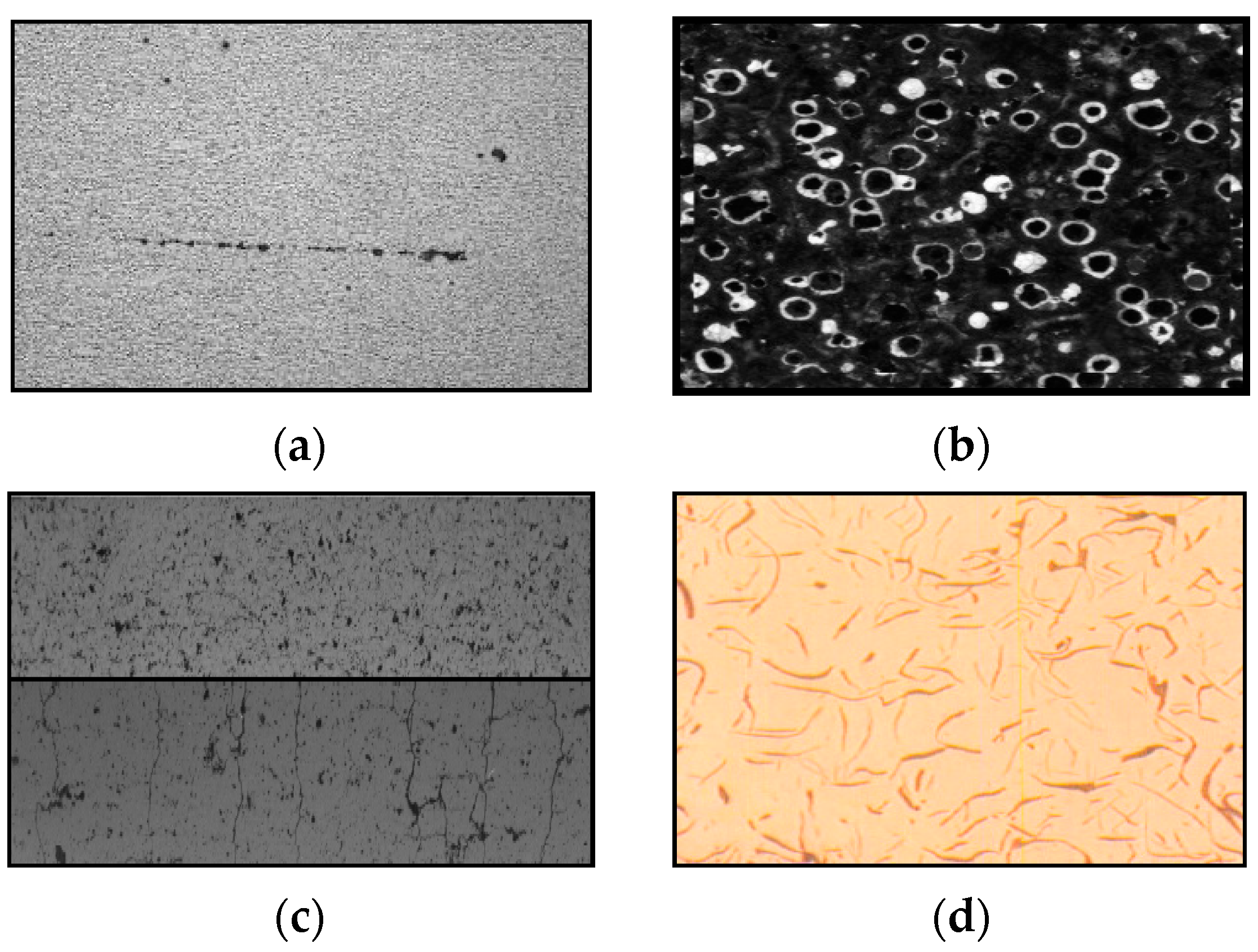 Sensors 24 05328 g001