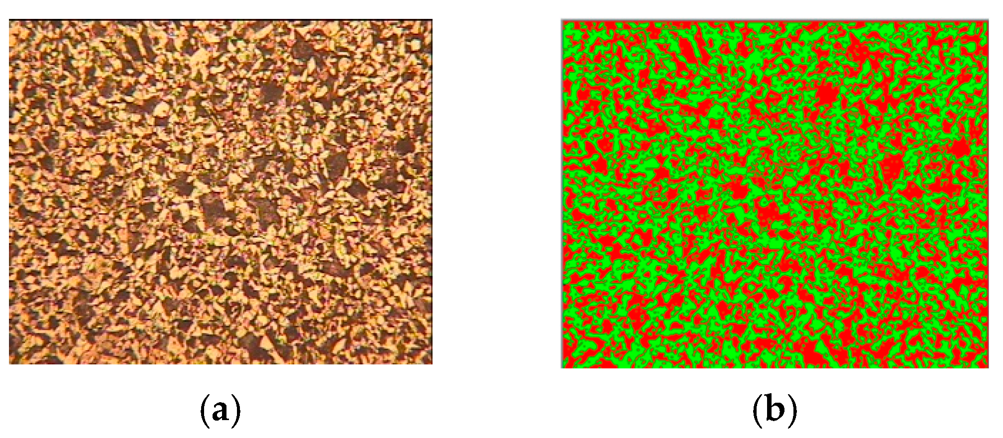 Sensors 24 05328 g013