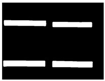 Sensors 24 05330 i016