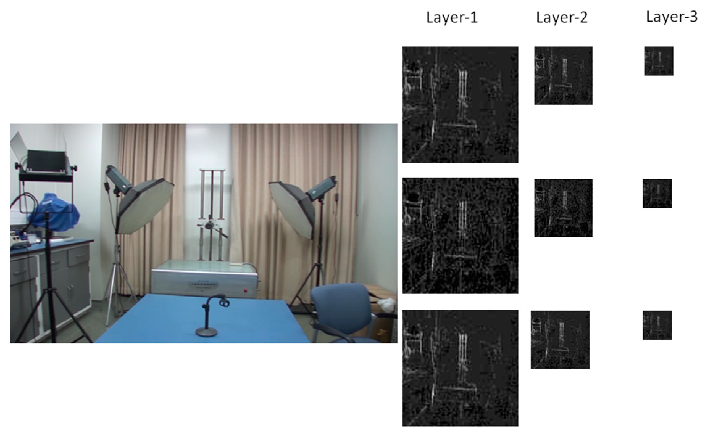 Sensors 24 05341 g003
