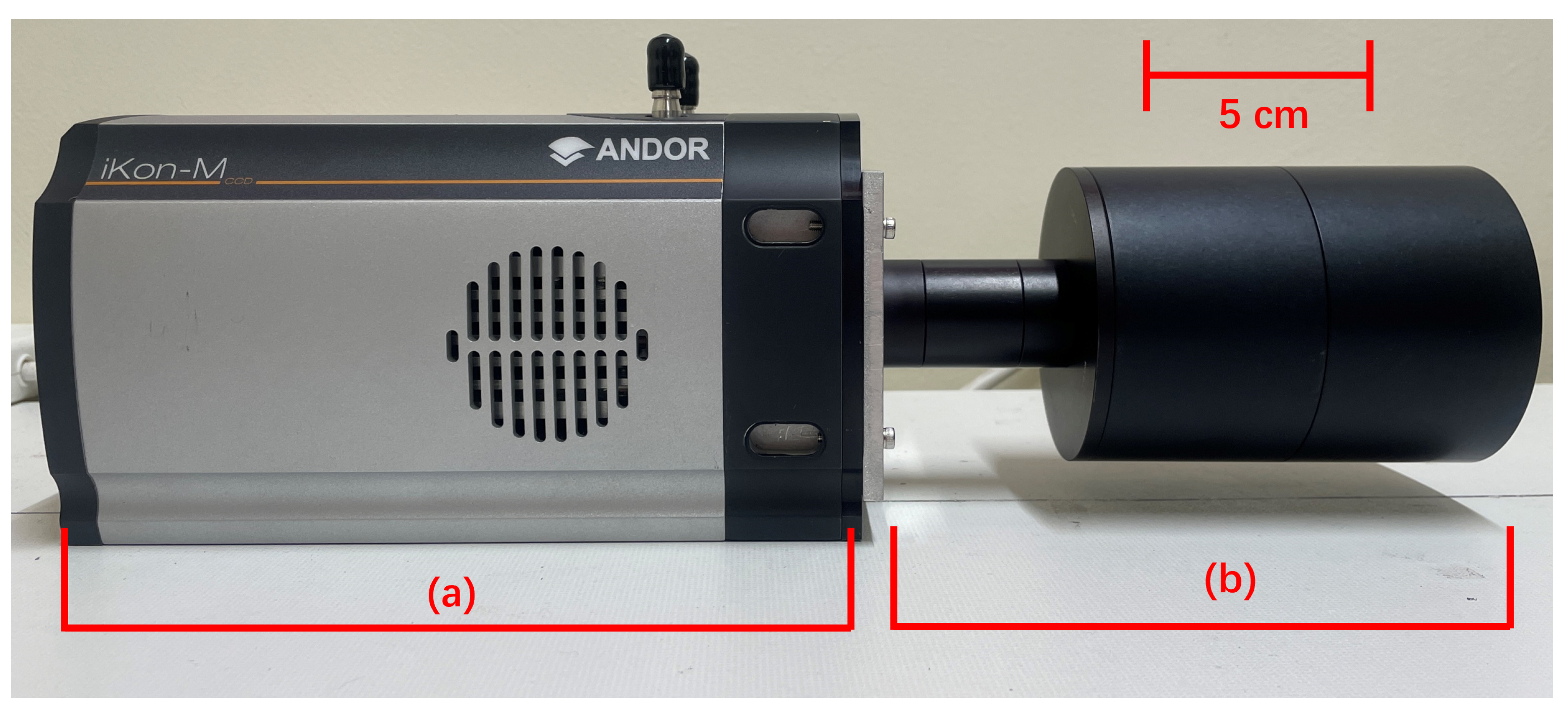 Sensors 24 05345 g006