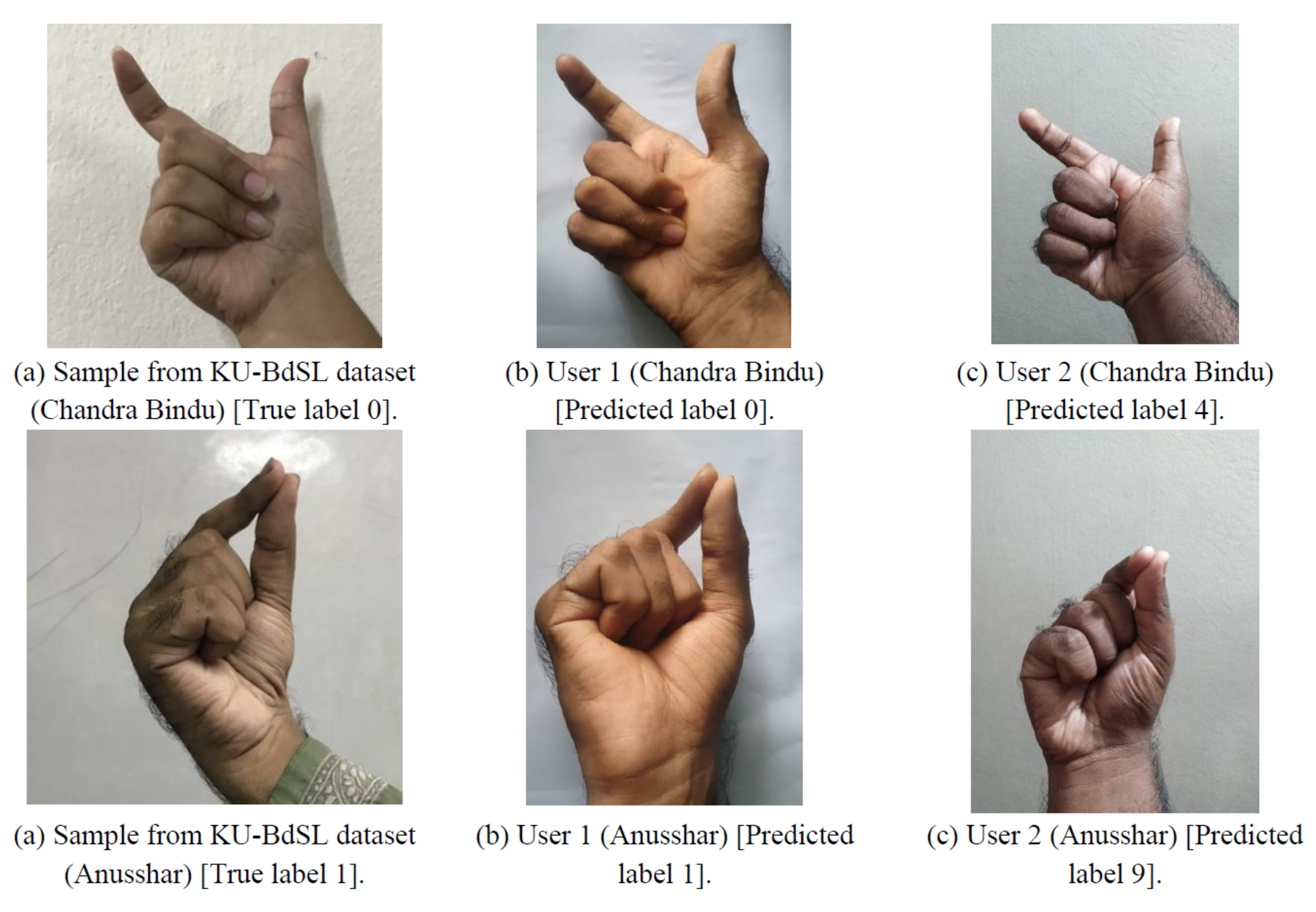 Sensors 24 05351 g010