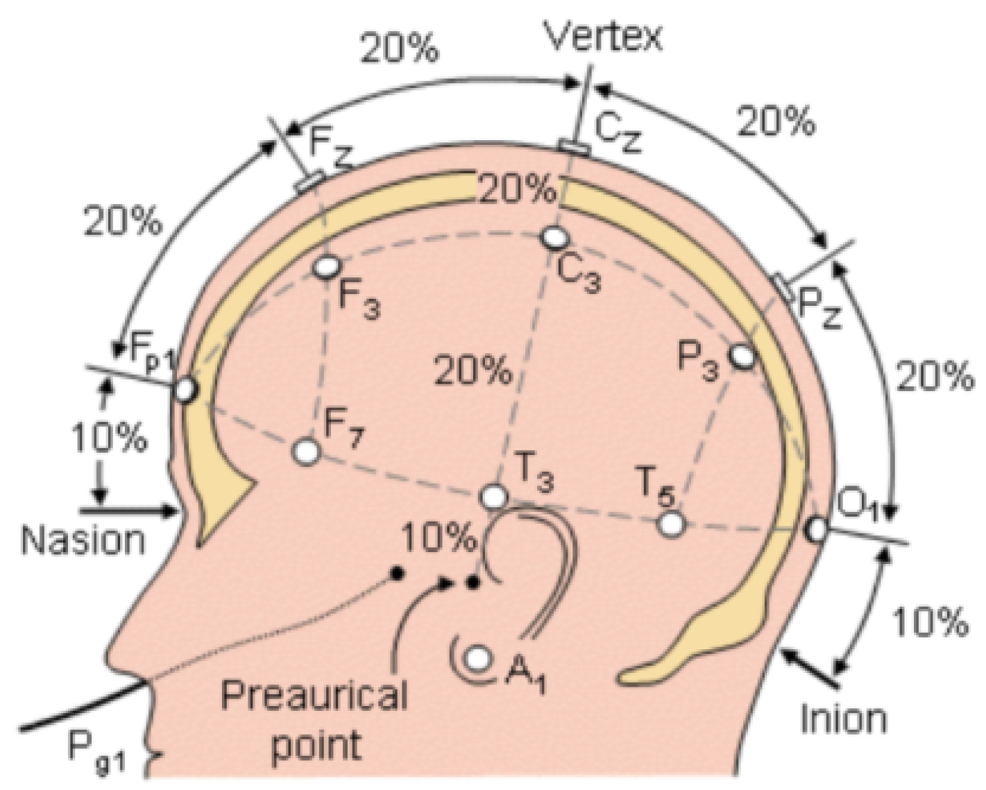 Sensors 24 05363 g010