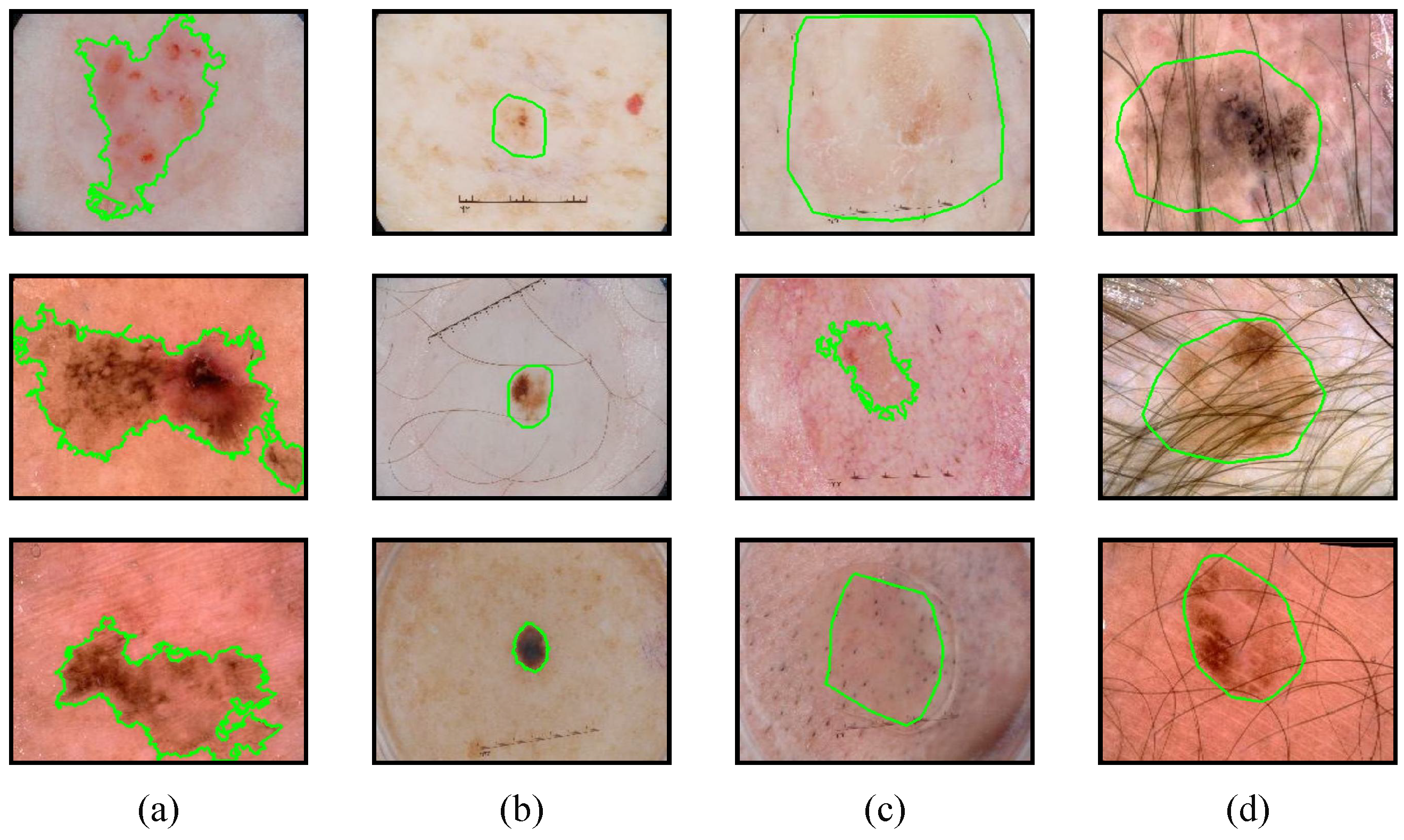 Sensors 24 05372 g001