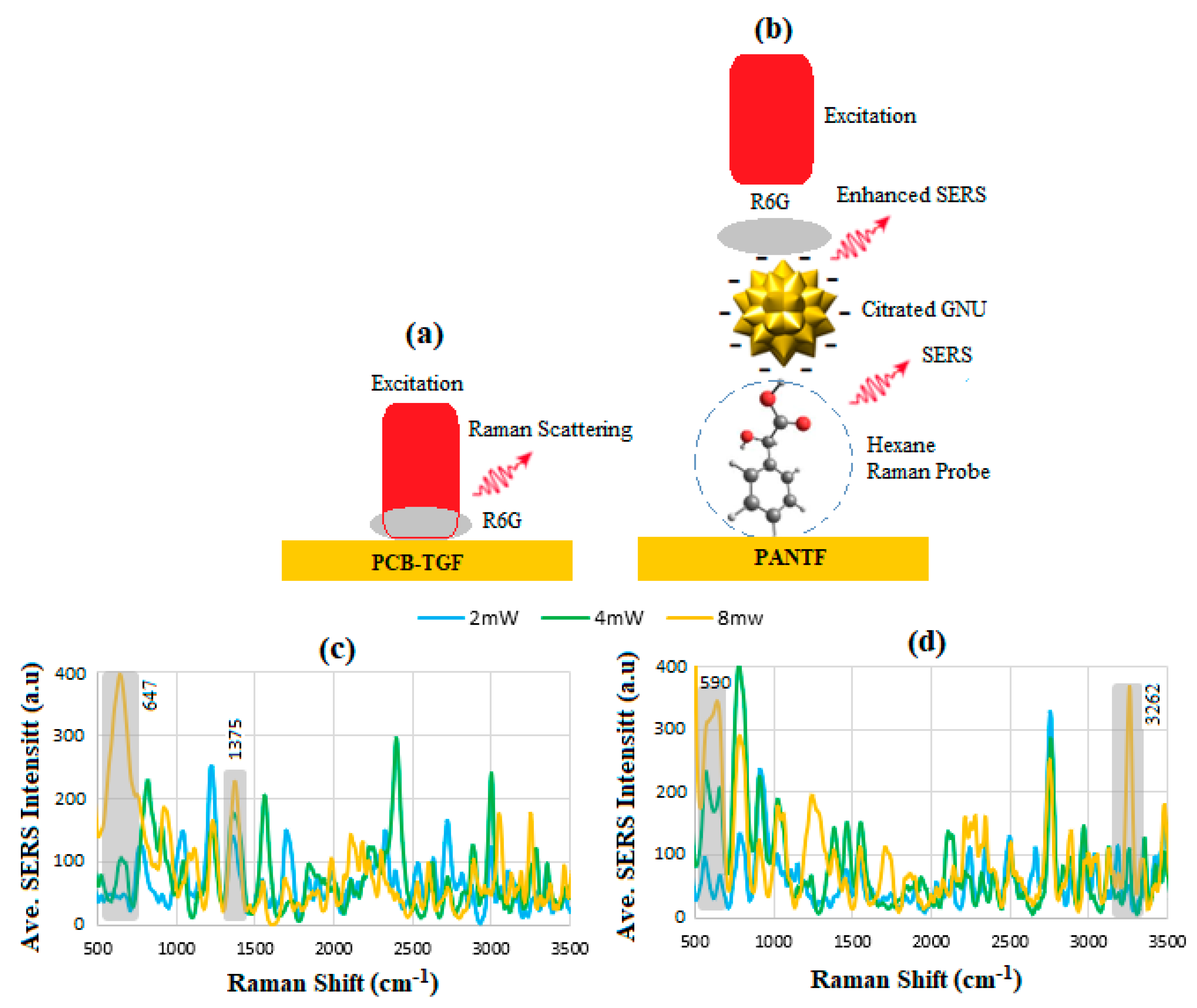 Sensors 24 05378 g007 Sensors 24 05378 g007