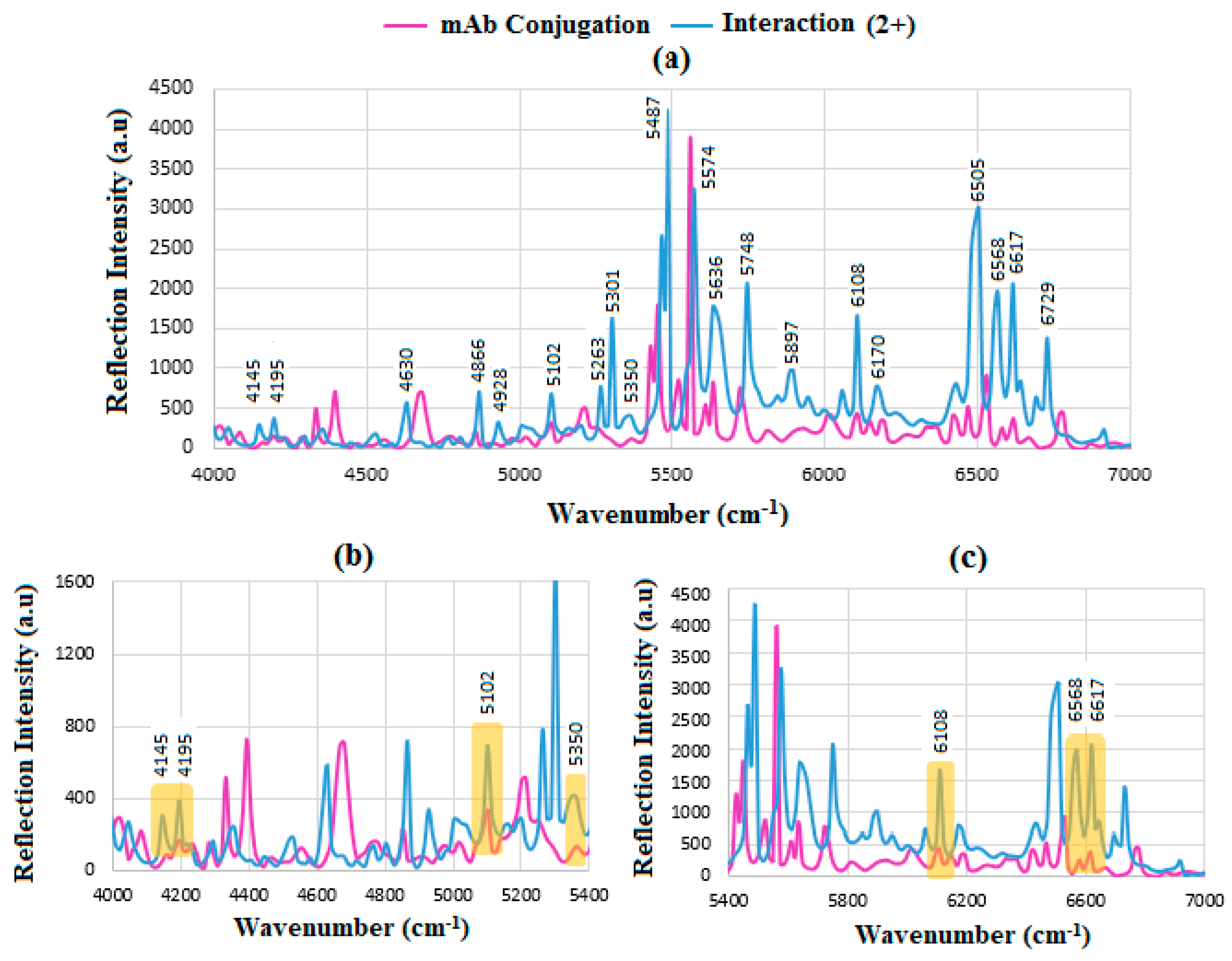 Sensors 24 05378 g010 Sensors 24 05378 g010