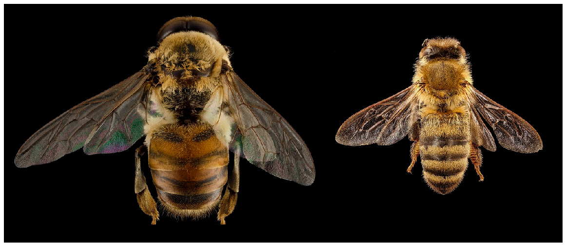 Sensors 24 05389 g001