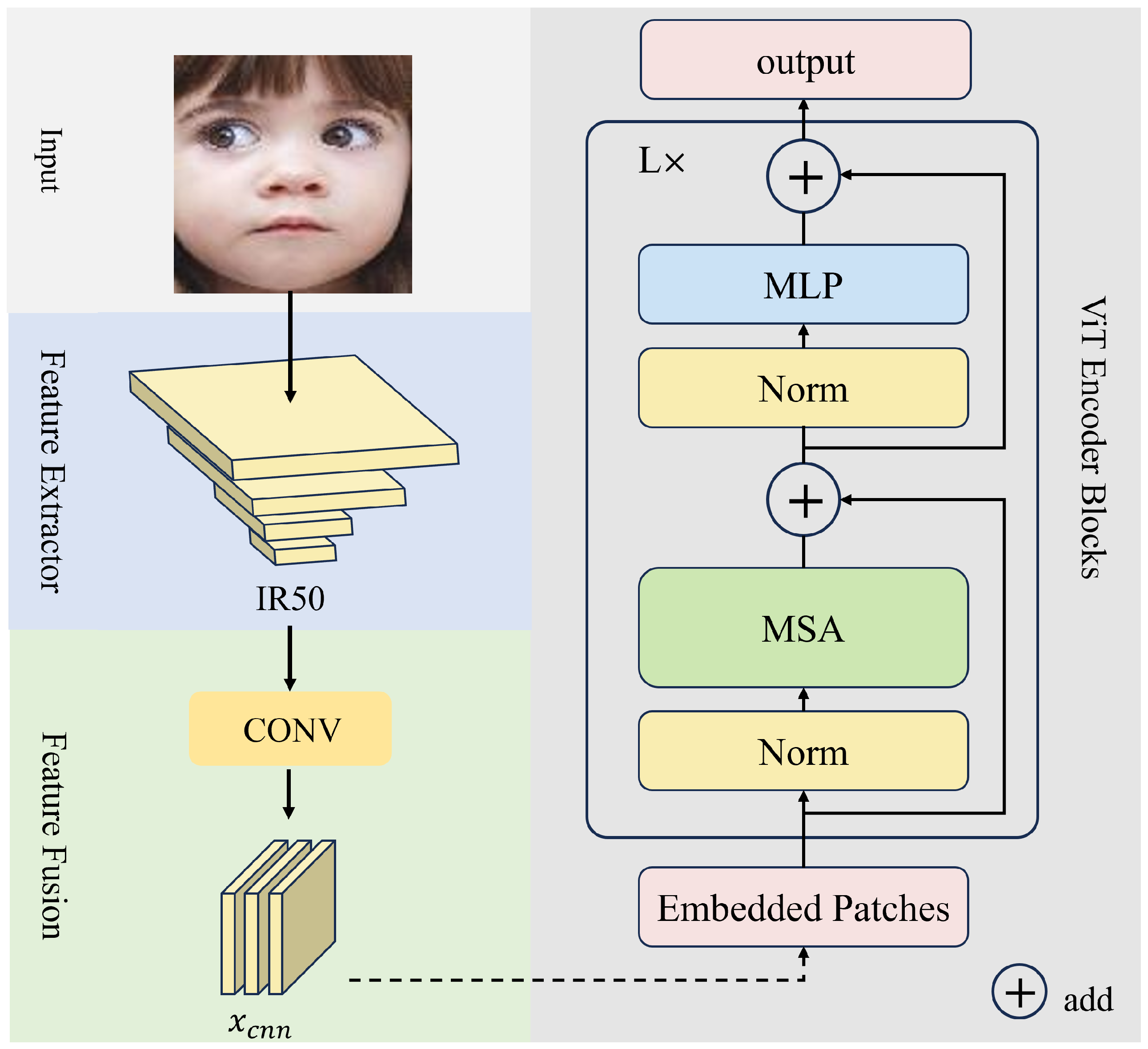 Sensors 24 05391 g001