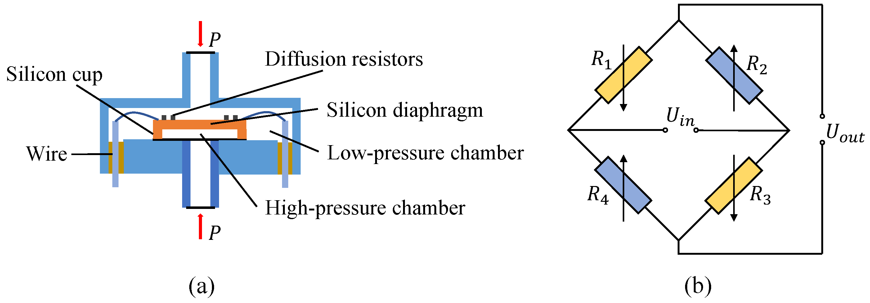 Sensors 24 05394 g001
