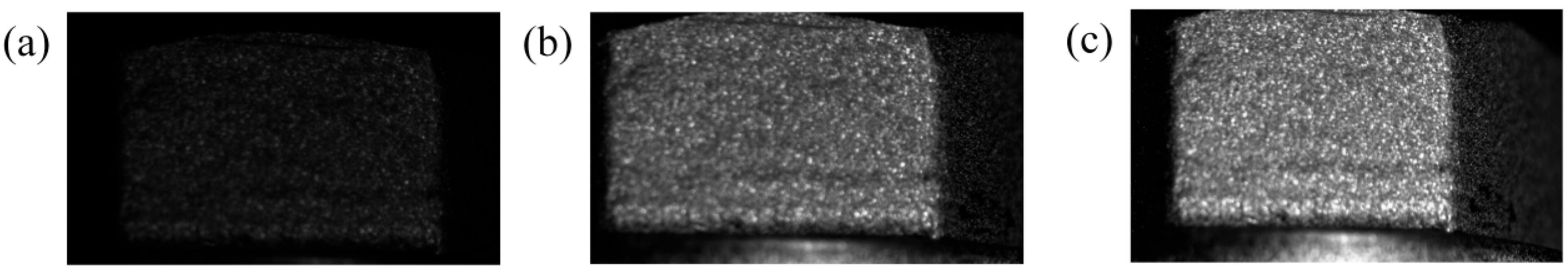 Sensors 24 05397 g007