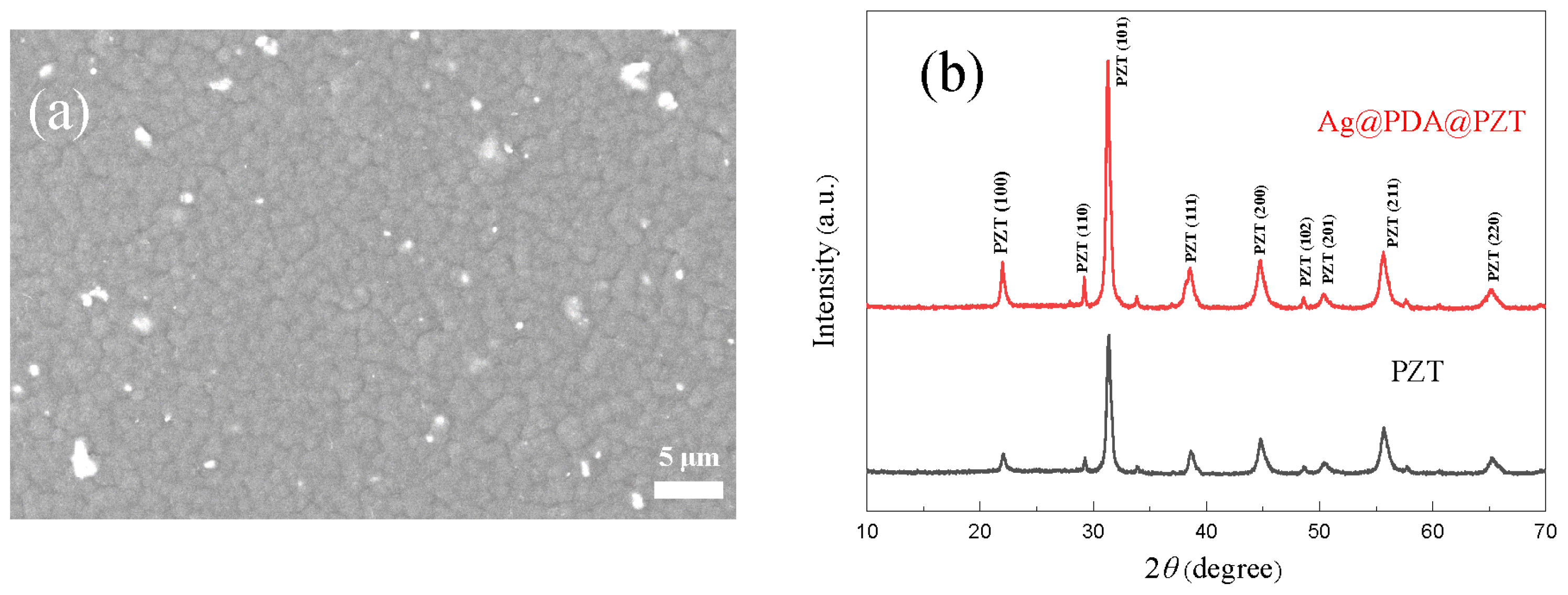 Sensors 24 05415 g002