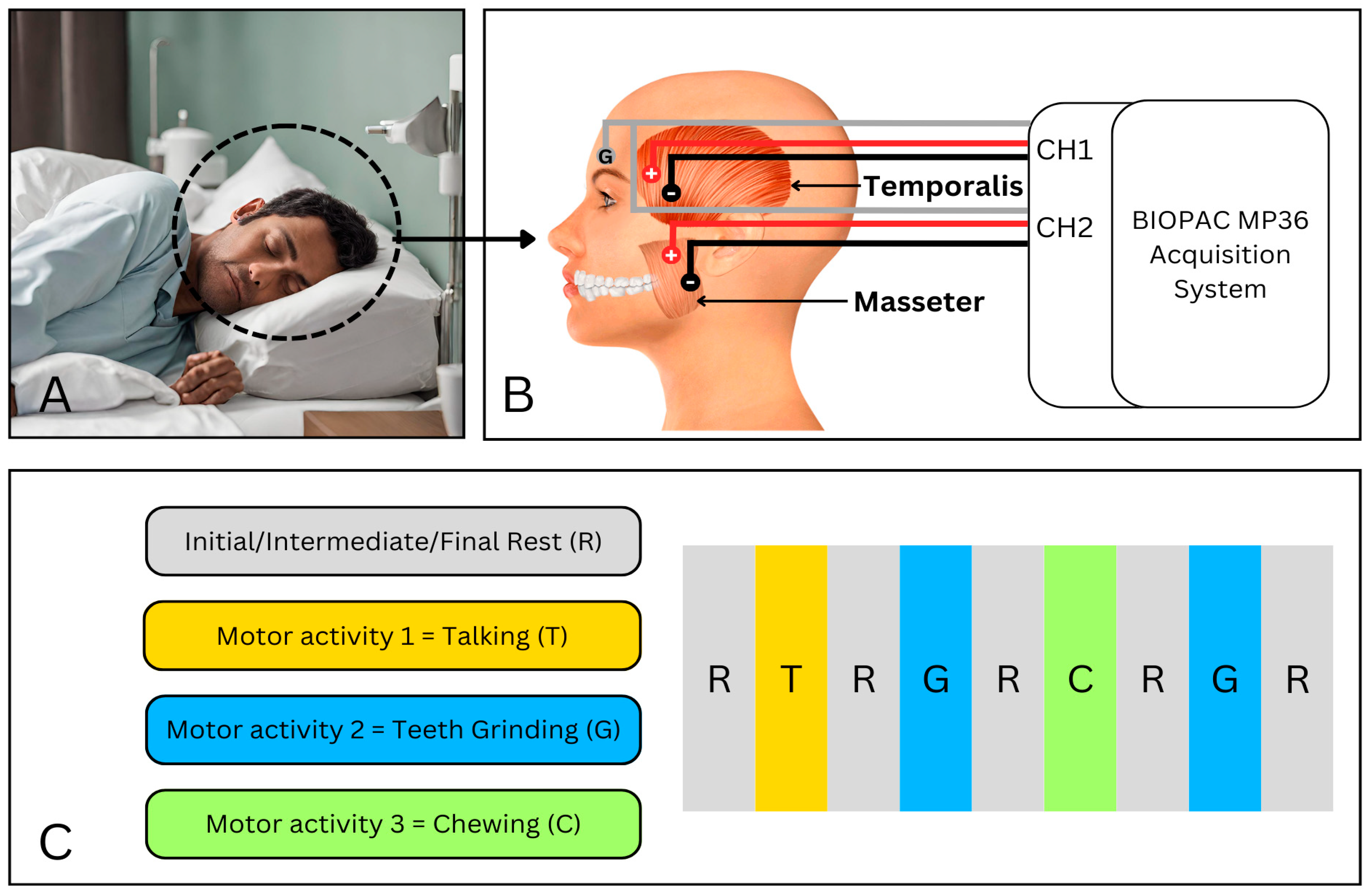 Sensors 24 05426 g001