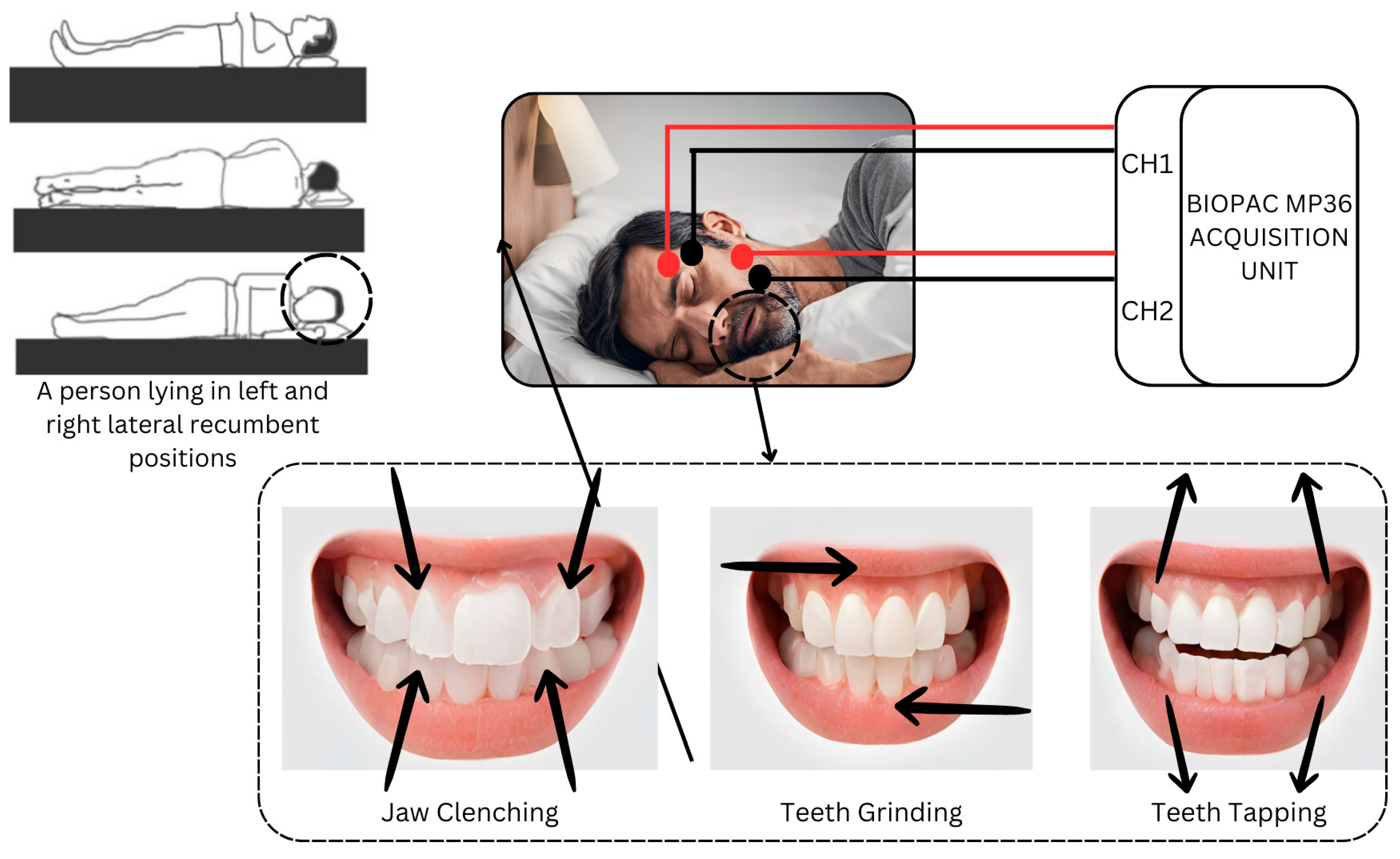 Sensors 24 05426 g003