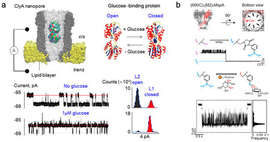 Sensors 24 05442 g004
