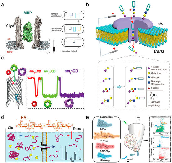 Sensors 24 05442 g006