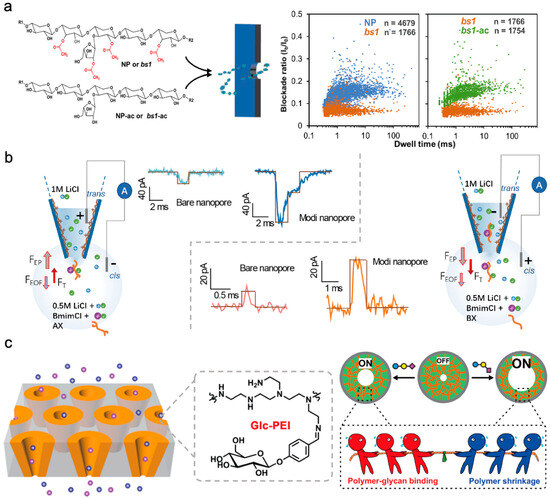Sensors 24 05442 g009
