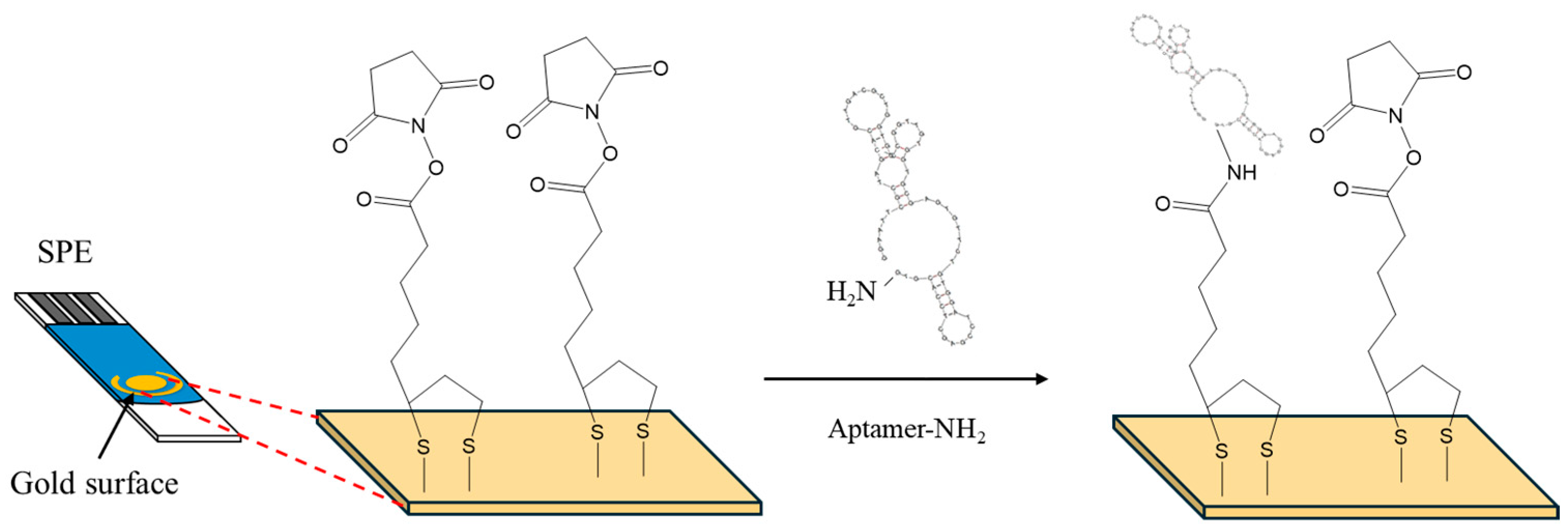 Sensors 24 05488 g001