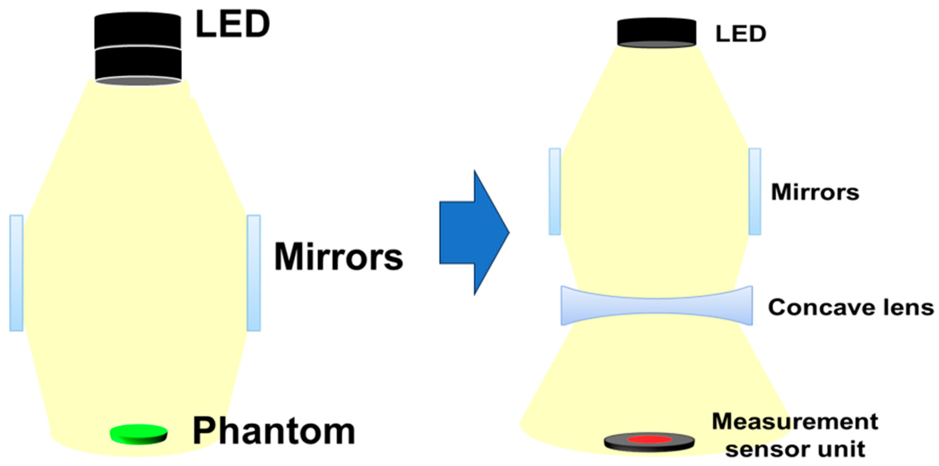 Sensors 24 05503 g007