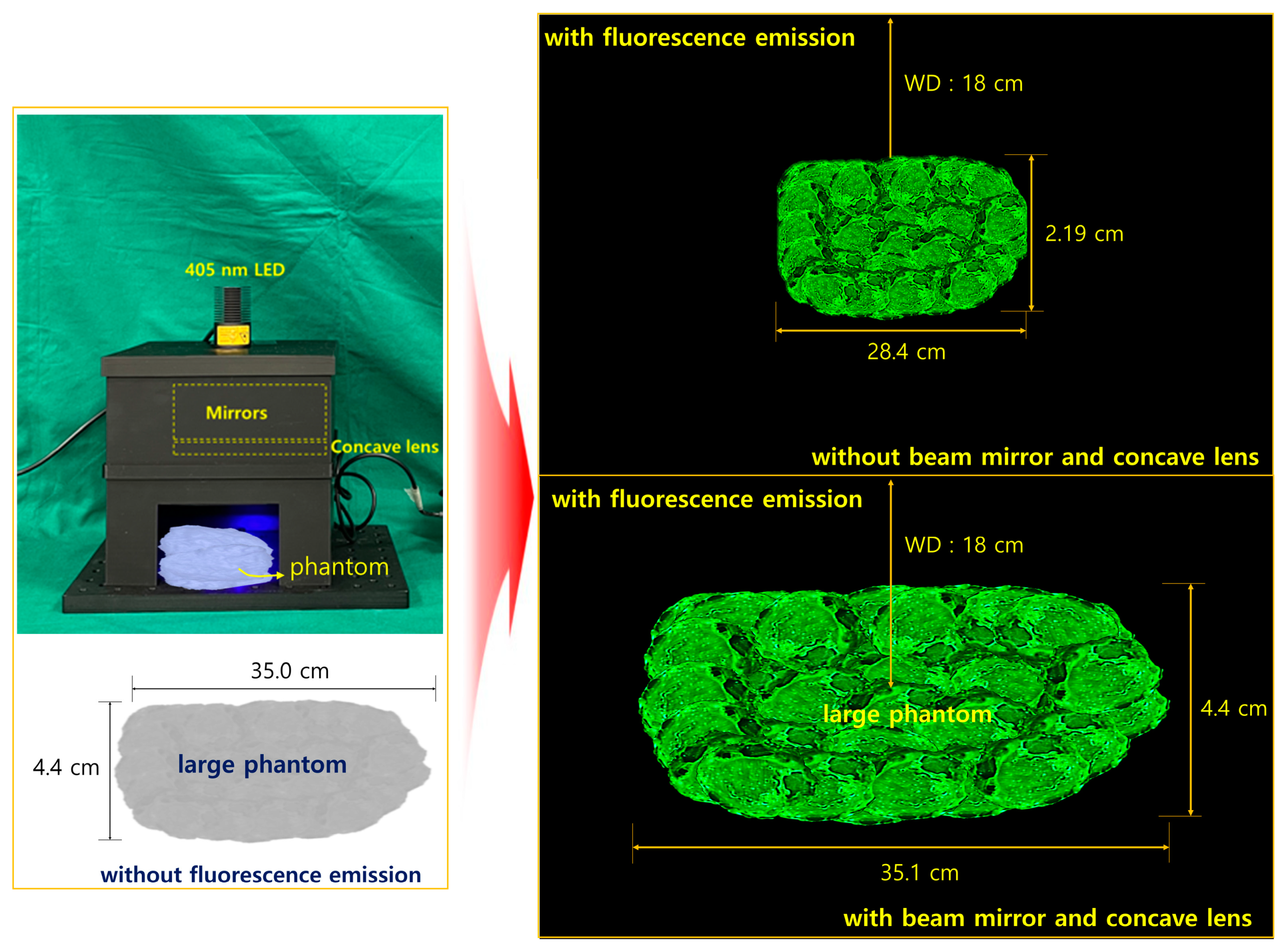 Sensors 24 05503 g012