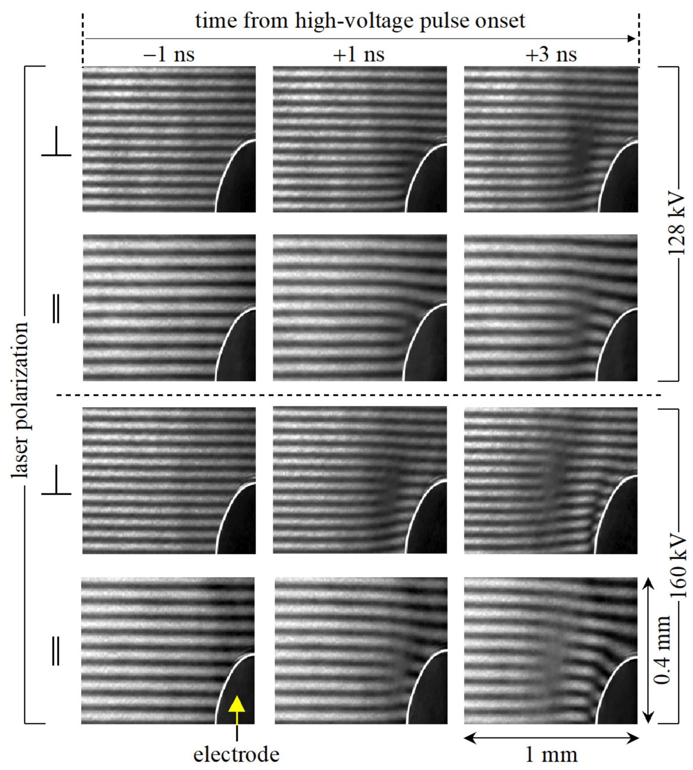 Sensors 24 05532 g002