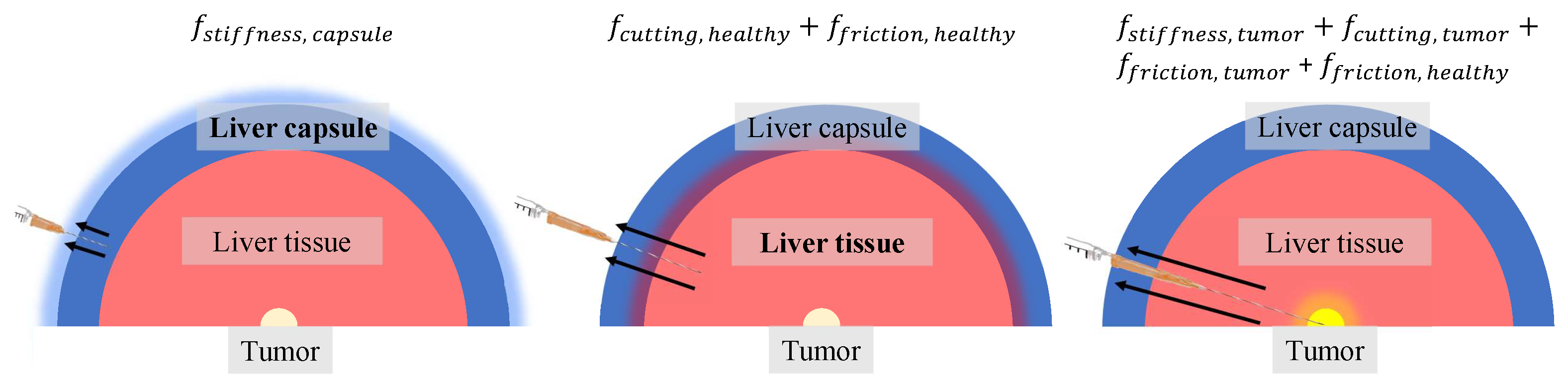 Sensors 24 05560 g004