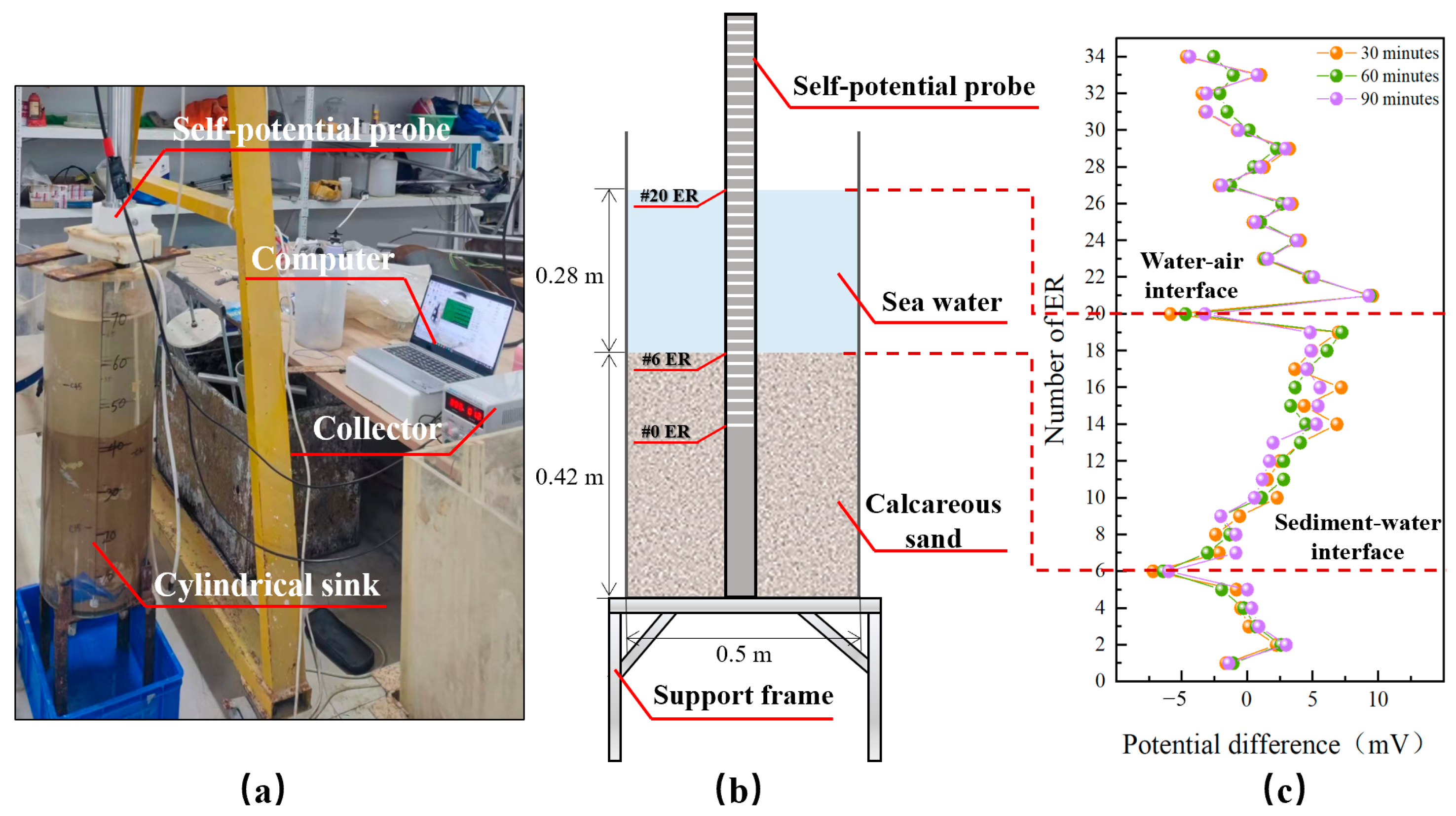 Sensors 24 05563 g008