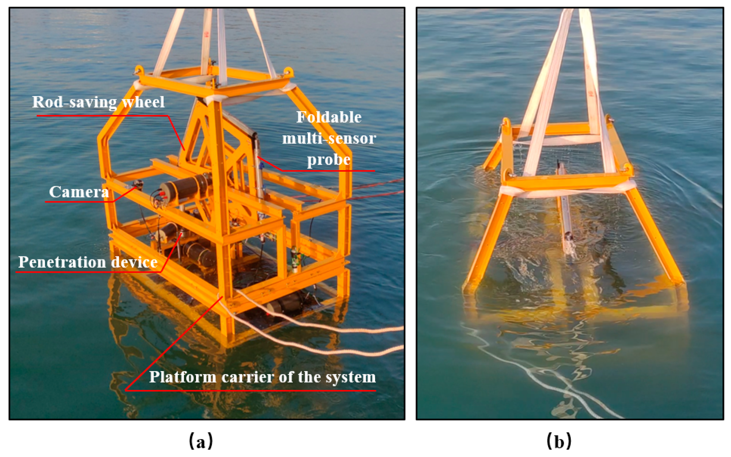 Sensors 24 05563 g010
