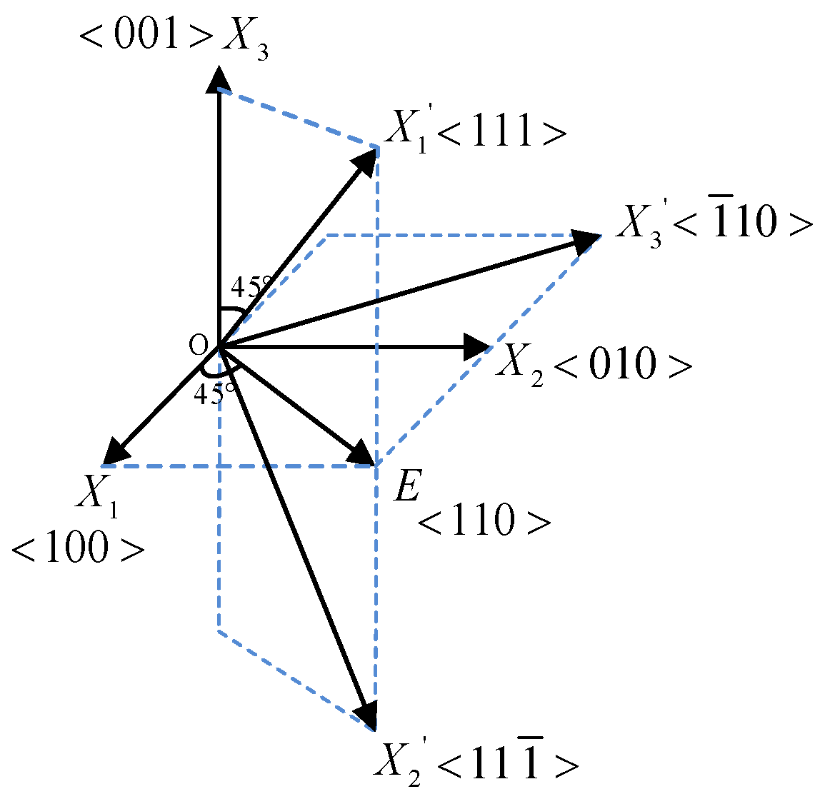 Sensors 24 05570 g001