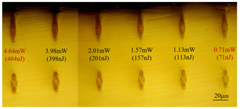 Sensors 24 05570 i002