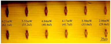 Sensors 24 05570 i004