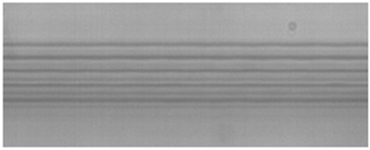 Sensors 24 05570 i006