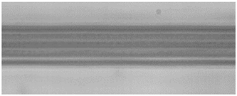 Sensors 24 05570 i010